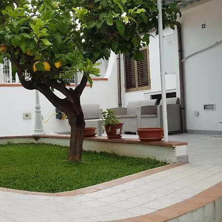 Primula Del Mare Apartment Palinuro